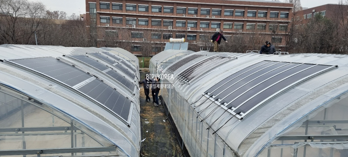 Installed GIPV in Greenhouse of CNU [첨부 이미지2]
